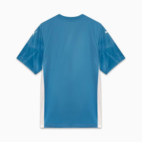 Camisa Palmeiras Goleiro 25/26 Masculino